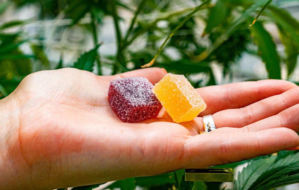 The Healing Touch of Nature: CBD Gummies resa till mainstreammedicin